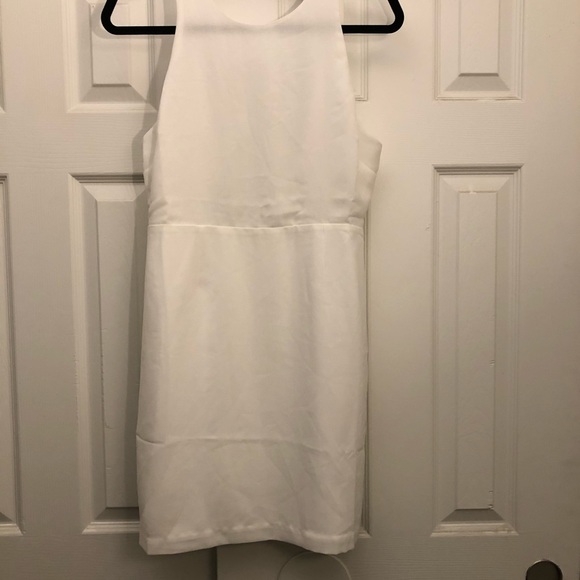 Naked Zebra Back Tie Dress - Picture 7 of 9